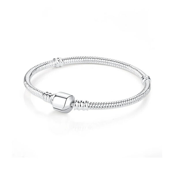 Original 925 Sterling Silver Bracelets Charms Moments Bracelet For Women DIY