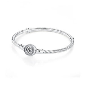 Original 925 Sterling Silver Bracelets Charms Moments Bracelet For Women DIY