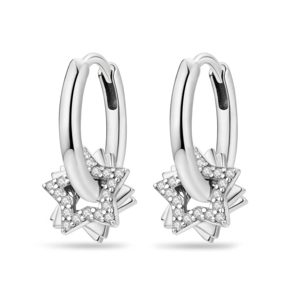 925 Sterling Silver Earrings