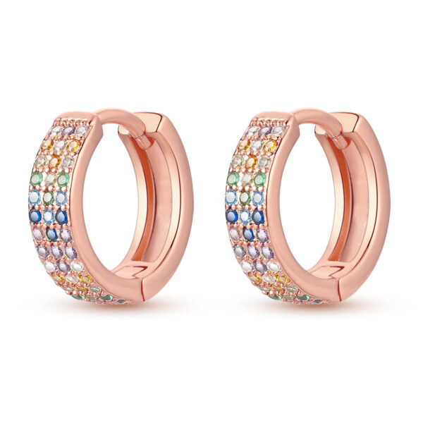 925 Sterling Silver Earrings