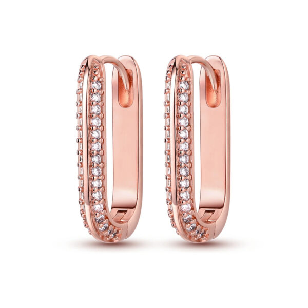925 Sterling Silver Earrings