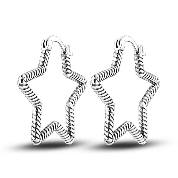 925 Sterling Silver Earrings