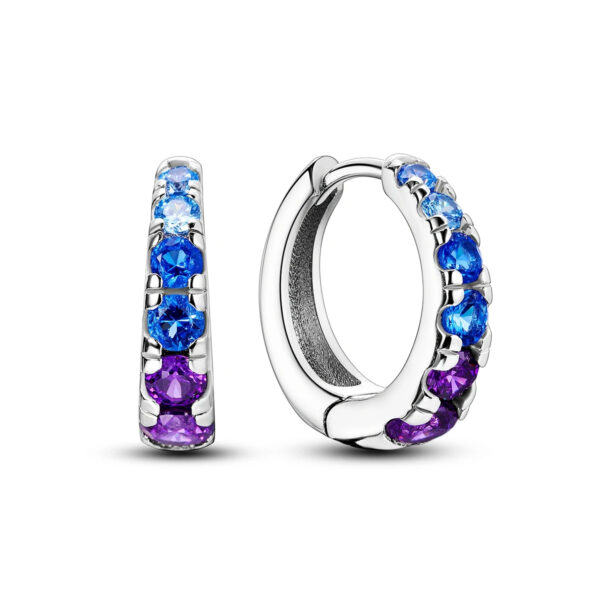 925 Sterling Silver Earrings